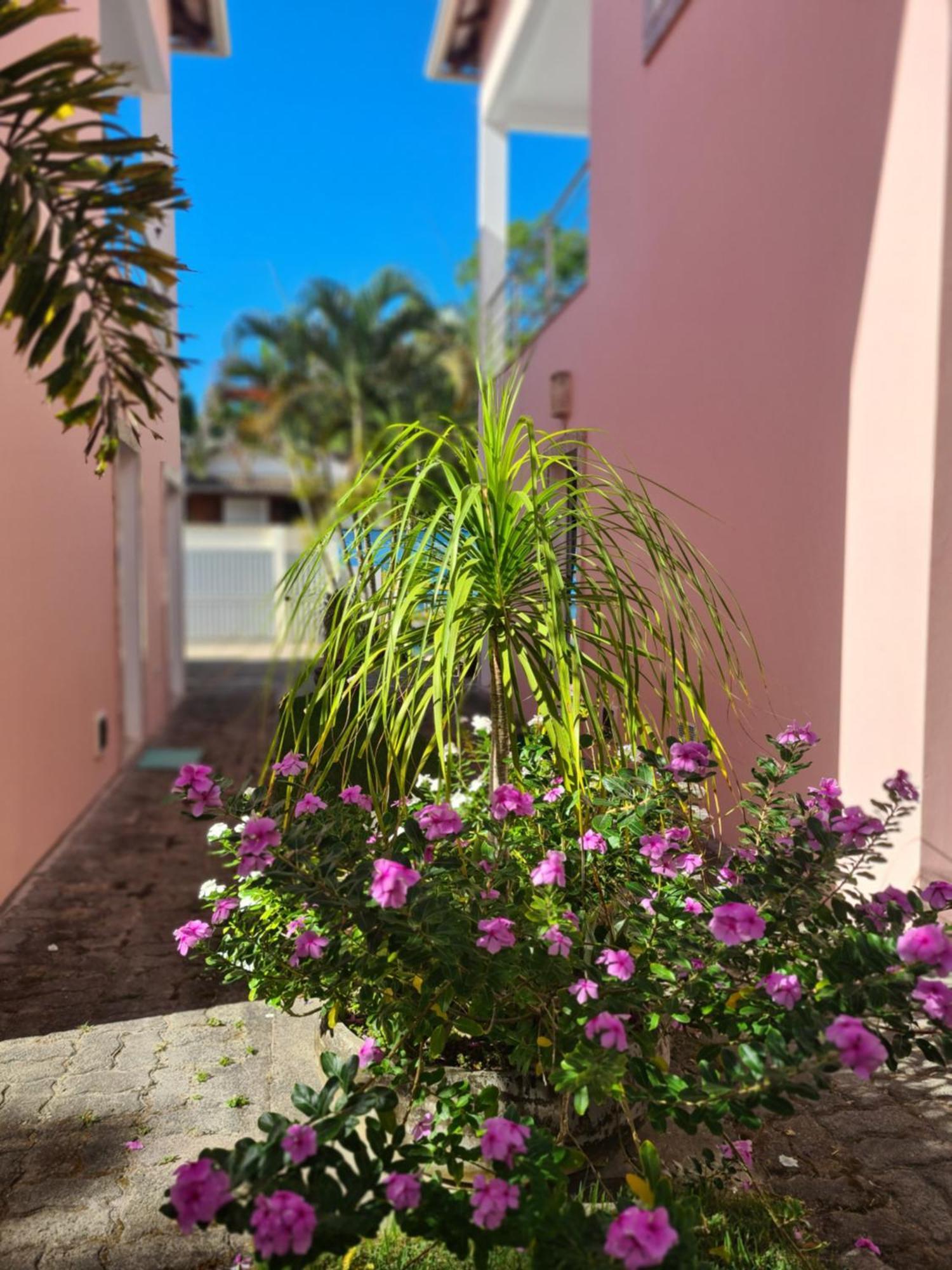 Magnolia Porto Seguro